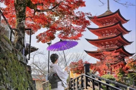 10 Days in Japan: The Ultimate Group Adventure (October Trip)