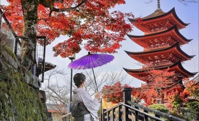 10 Days in Japan: The Ultimate Group Adventure (October Trip)
